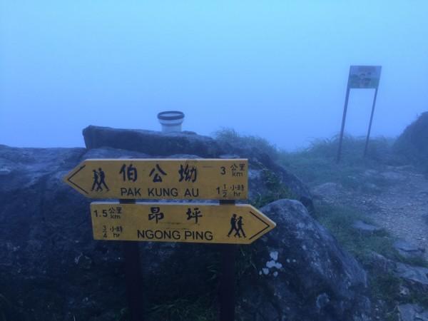 王源晒自拍庆开通微博10周年，他如今在圈内的资源怎么样？游戏画面