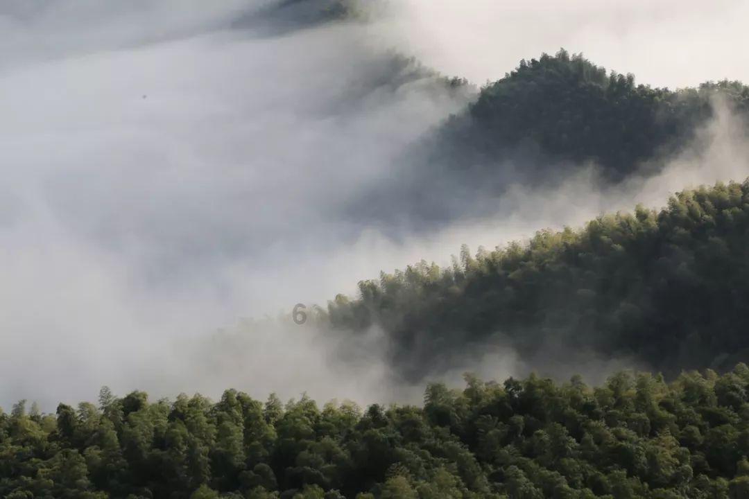 提案故事｜“土包子”的来历：一份联名提案背后的延安精神