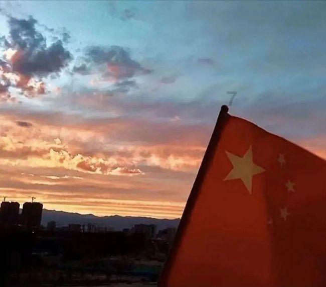 金刚鹦鹉逃生